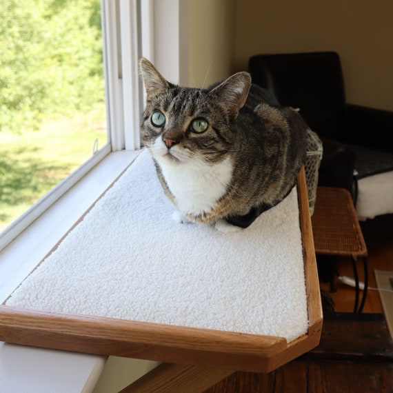 cat window sill bed