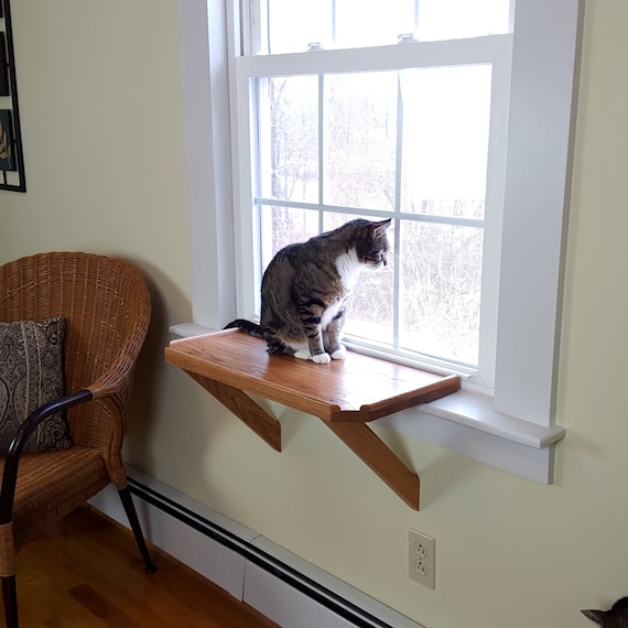 cat window perch petsmart