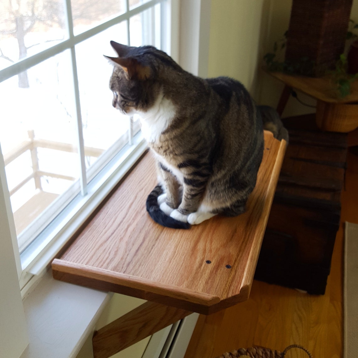 cat window bed