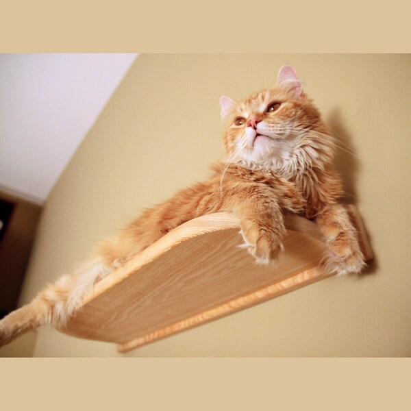 Cat Shelf Etsy