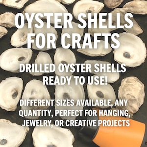 May include: A collection of white oyster shells, some with drilled holes, arranged on a dark surface. Text overlay reads "OYSTER SHELLS FOR CRAFTS" and "DRILLED OYSTER SHELLS READY TO USE!"