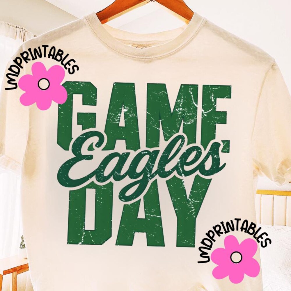 Eagles Football Png, Eagles Game Day Png, Football Mascot Png, Philly Png, Eagles Lover Gift, Gift For Sport Lover, Game Day Shirt Png Tshirtbazaar Fans