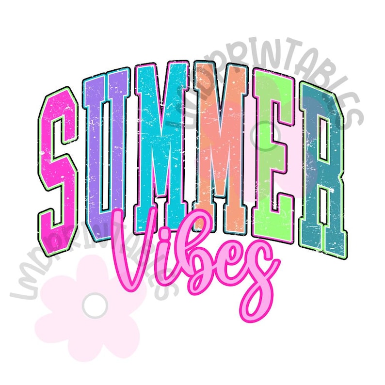 Puede incluir: Gr&aacute;fico colorido con las palabras "SUMMER Vibes". La palabra "SUMMER" est&aacute; en letras de bloque con un efecto desgastado, mientras que "Vibes" est&aacute; en cursiva. La paleta de colores incluye rosa, morado, azul, naranja y verde.