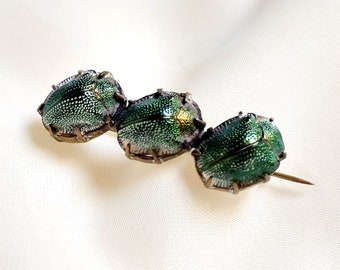 Victorian Scarab Beetle Bar Brooch