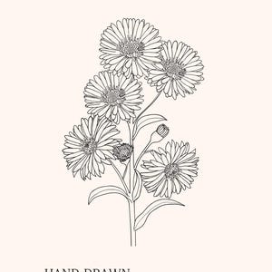 Jardín caprichoso: páginas para colorear florales / Set de flores imprimibles / 5 ilustraciones de arte lineal en blanco y negro
