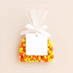 May include: A clear cellophane bag filled with candy corn, tied with a white ribbon and bow. A blank white tag hangs from the bow. The candy corn is yellow, orange, and white. The background is a light peach color.