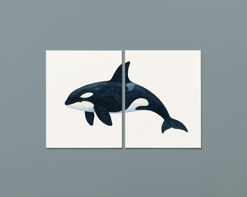 May include: Two-panel artwork featuring a watercolor illustration of an orca whale. The whale is depicted in shades of dark blue and black, with white markings. The artwork is set against a white background.