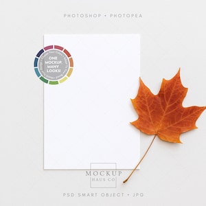 Può includere: Una scheda rettangolare bianca con una ruota di design colorata e una vibrante foglia d'acero arancione. Il testo sulla scheda recita "ONE MOCKUP, MANY LOOKS". L'immagine è un mockup per presentazioni di design.