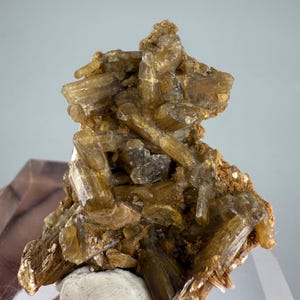 May include: A cluster of translucent, amber-colored mineral crystals. The crystals are elongated and clustered together, with a rough, textured appearance. The mineral sits on a white base, with a light gray background.