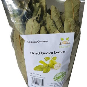 Dried Guava Leaves (Psidium Guajava) (3 Oz, 100+ Leaves)