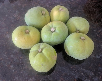 May include: A cluster of seven green guavas, some with a yellowish hue, are arranged on a dark, speckled surface. Each fruit has a small, brown stem. The guavas vary slightly in color and size, suggesting they are freshly picked.