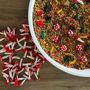 May include: A white circular tray filled with a sensory mix of small, multicoloured star-shaped pasta, green and brown pasta shapes, and red-and-white spotted mushroom figures. Beside the tray lies a collection of loose red-and-white mushrooms.