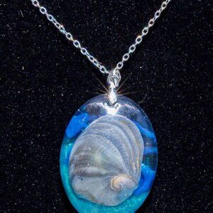 May include: Oval pendant necklace featuring a seashell encased in clear resin with blue and turquoise accents. The pendant hangs from a delicate silver chain. The seashell has a spiral design and is light gray.