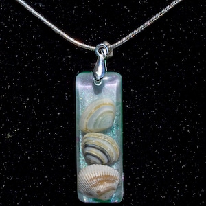 May include: A rectangular pendant necklace featuring three seashells encased in clear resin. The pendant is suspended from a silver-colored chain. The seashells have a variety of colors, including white, tan, and brown.