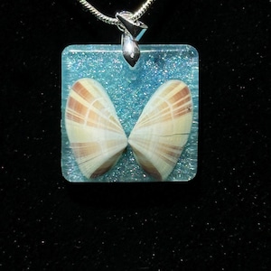 May include: A square pendant necklace featuring two seashells set in a clear, glittery blue resin. The shells are cream and brown, and the pendant hangs from a silver chain. The background is black.