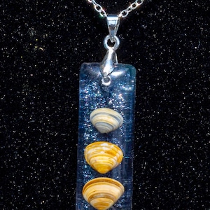 May include: A rectangular pendant necklace with three seashells encased in clear blue resin. The pendant is suspended from a silver chain. The seashells have yellow, brown, and white stripes. The background is black.