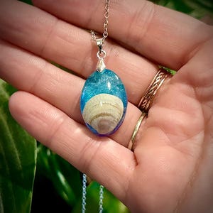 May include: Oval pendant necklace with a silver chain. The pendant features a seashell encased in clear resin with blue and white accents. The necklace is a delicate piece of jewelry.