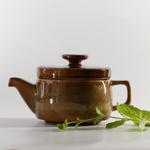Peut inclure: Une théière en céramique marron avec un couvercle, un bec et une anse. La théière a une finition brillante et est posée sur une surface blanche. Une branche de feuilles vertes est au premier plan.