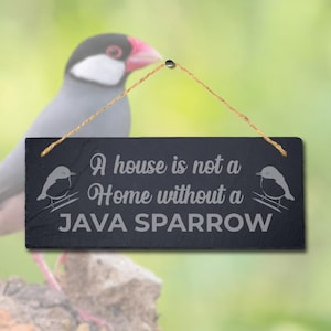 May include: A rectangular black slate sign with the text "A house is not a Home without a JAVA SPARROW" in a white, elegant font. The sign has a small bird illustration on each side and is suspended by a natural twine.