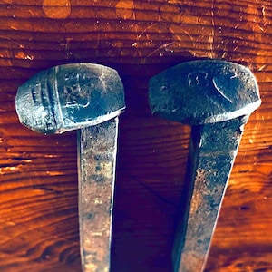 以下が含まれることがあります： 古びた暗い金属製の頭部と細長いテーパー状のシャフトを持つ、2つのアンティーク鉄道スパイク。 スパイクは、木目がはっきりと見える、暖かみのある茶色の木材の表面に置かれ、素朴な美しさを醸し出しています。 頭部には刻印されたマークが表示されています。