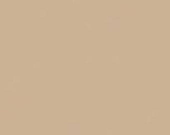 Achat en vrac: Darice Foamies Extra Thick Foam Sheet Tan 6mm d’épaisseur 9 x 12 pouces