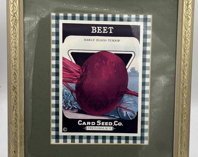 Vintage Seed Packet Advertising 1920 General Store NY Beet Turnip Framed Art