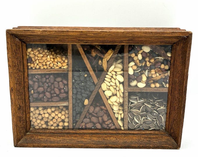 Vintage Seed Bean Shadow Box Wall Art Primitive Folk Kitchen Country Decor