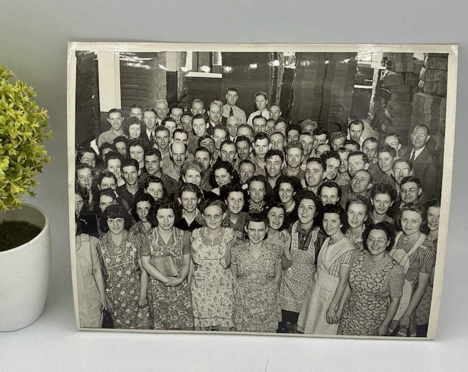 Vintage 1940s Factory Workers Group Photo Cardboard Box Plant 8x10 Cragg