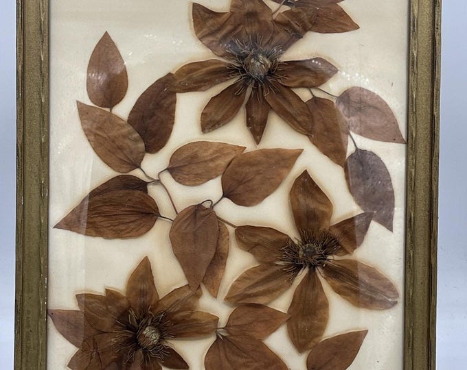 Vintage Handmade Oshibana pressed flower art Signed Gail Reid Retro 70s 14x10”
