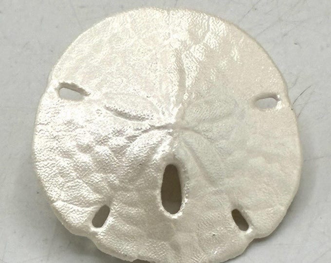 Vintage Real Sand Dollar Brooch 1” Natural Seashell Beach Coastal Figural Pin