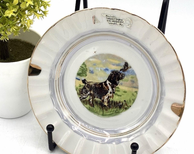 Vintage Jamestown Dock Resort Plate – Spaniel Hunting Dog Souvenir 5.5”