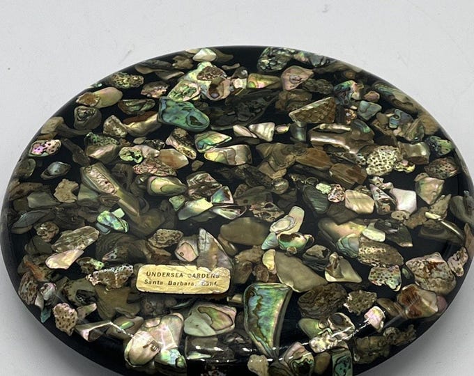 Vtg MCM Abalone Shell in Black Resin Trivet Hot Plate 5.5” Undersea Gardens CA