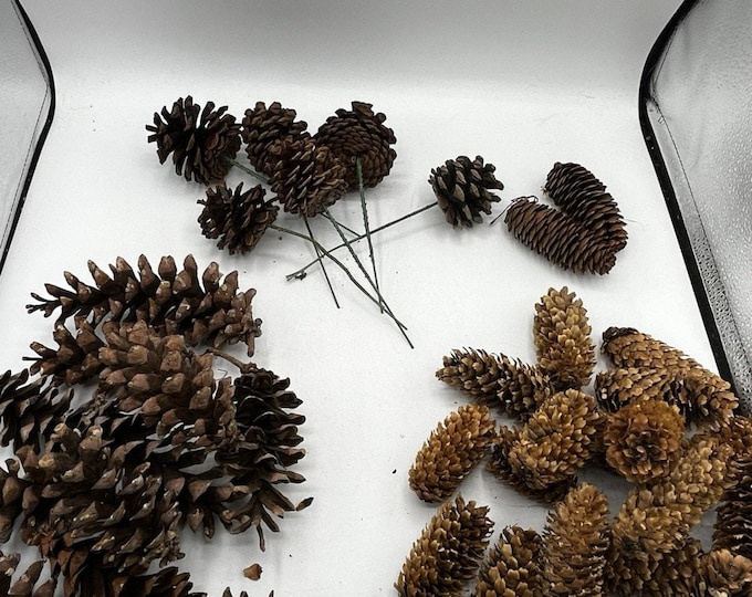 Natural Pinecone Lot 30+ Mixed Sizes Craft Wreath Floral Wire Picks Holiday