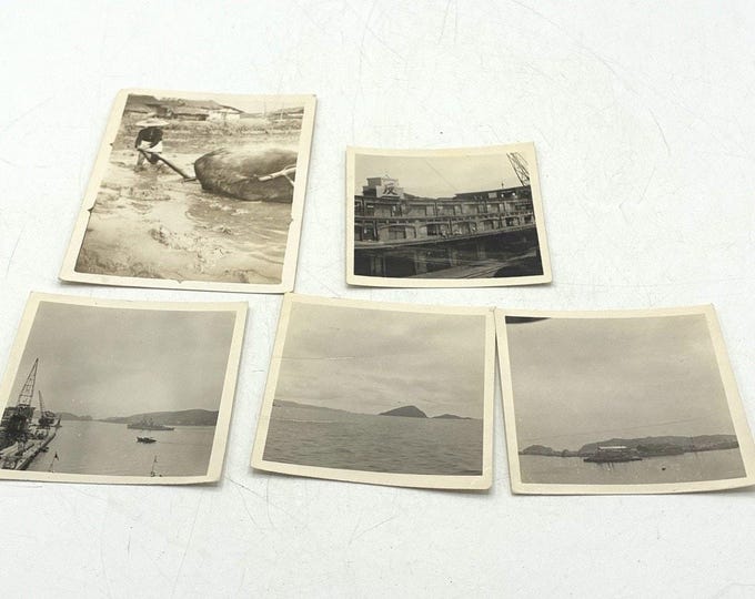 Vintage 1951 China Taiwan Photo Lot Rice Paddy Water Buffalo Harbor Scenes
