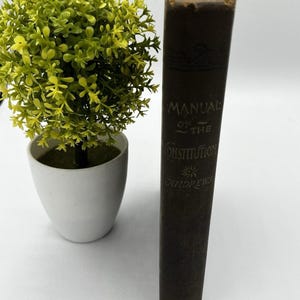 Könnte beinhalten: Ein antikes Buch mit dunkelbraunem Einband, betitelt "Manual of the Constitution of the Sandrewers". Das Buch steht aufrecht neben einer kleinen Topfpflanze mit grünen Blättern. Der Buchrücken zeigt den Titel in geprägten Buchstaben.