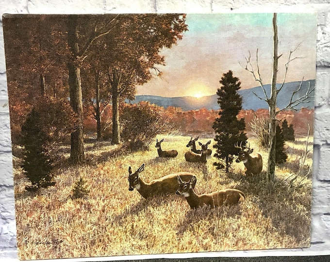 Vintage Deer Wildlife Canvas Print 16x20 Autumn Woodland Buck Doe Rustic Decor