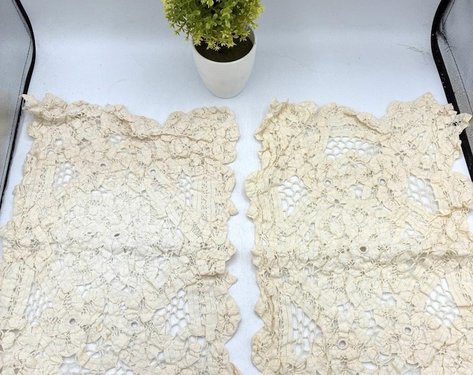 Embroidered Net Lace Mats – Pair 14x11 Floral Scalloped Vintage Linen