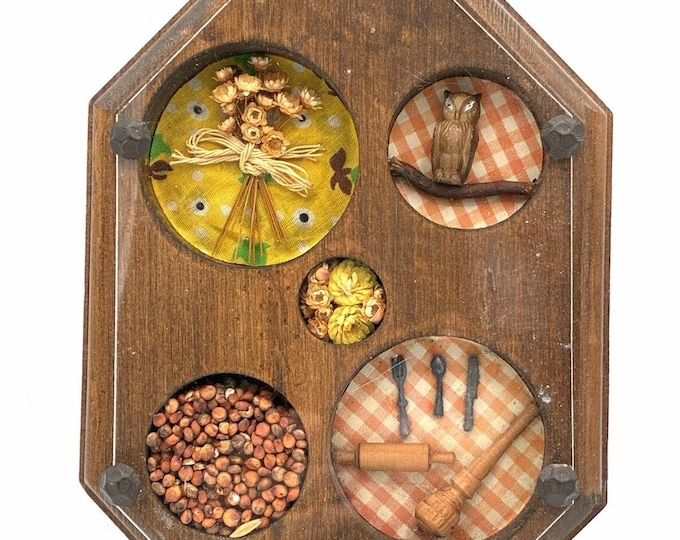 Vintage Miniature Kitchen Folk Art Wall Hanging Owl Dried Flowers Seeds 8x6