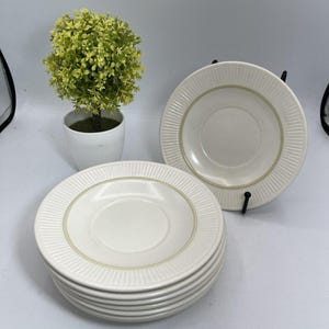 May include: A stack of off-white saucers with a ribbed design and a thin, light-brown border. The saucers are stacked on a white surface. A small, potted plant with green and yellow leaves is in the background.