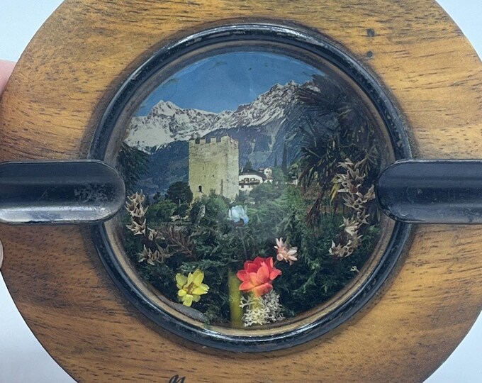 Vtg Merano Italian Souvenir Wood & Glass Ashtray w/Castle Picture Dried Flowers