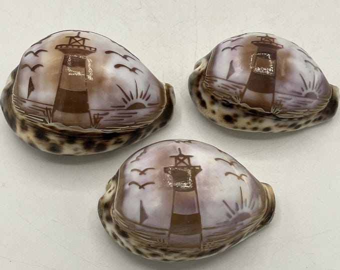 Vintage Hand Carved Purple Top Tiger Cowrie Shells Beach Scenes, Lighthouse (3)