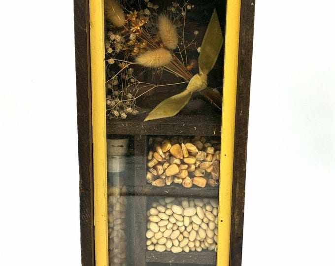 Vintage Dried Flower Seed Grain Shadow Box Primitive Rustic Wall Decor