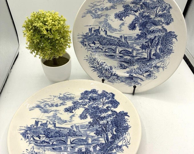 Enoch Wedgwood Countryside Blue White Plates Set 2 England Transferware
