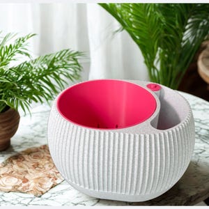 Elegant Self-Watering Planter with Clear Water Gauge