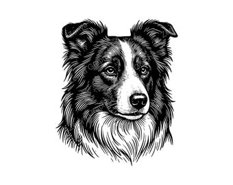 Głowa psa border collie SVG PNG JPG | Sztuka vintage z psem do rękodzieła