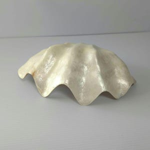 Sculptural Capiz Shell Centerpiece Bowl – Iridescent Hollywood Regency Coastal Decor – 1970s Vintage Philippine Shell Art
