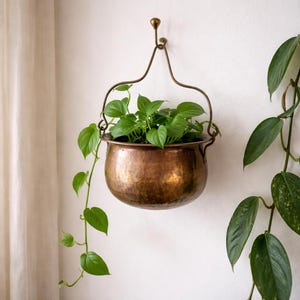 May include: A hanging copper planter with a decorative brass hook, filled with vibrant green plants. The planter has a rounded shape and is suspended against a white wall, showcasing a touch of natural decor.