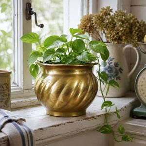 May include: A polished brass planter with a rounded, spiraled, fluted design containing a vibrant green pothos plant with trailing vines. The planter sits on a white surface next to a ceramic jar, a floral pitcher, and a vintage kitchen scale.