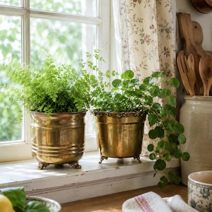 May include: Two polished brass planters with small decorative feet, each holding a lush green plant. The left planter features horizontal ribbed detailing, while the right planter has a scalloped, ornate rim. Both sit on a white window ledge.
