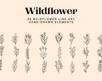Wildflower Line Art SVG Bundle: Hand-drawn Floral Clipart (digital ...